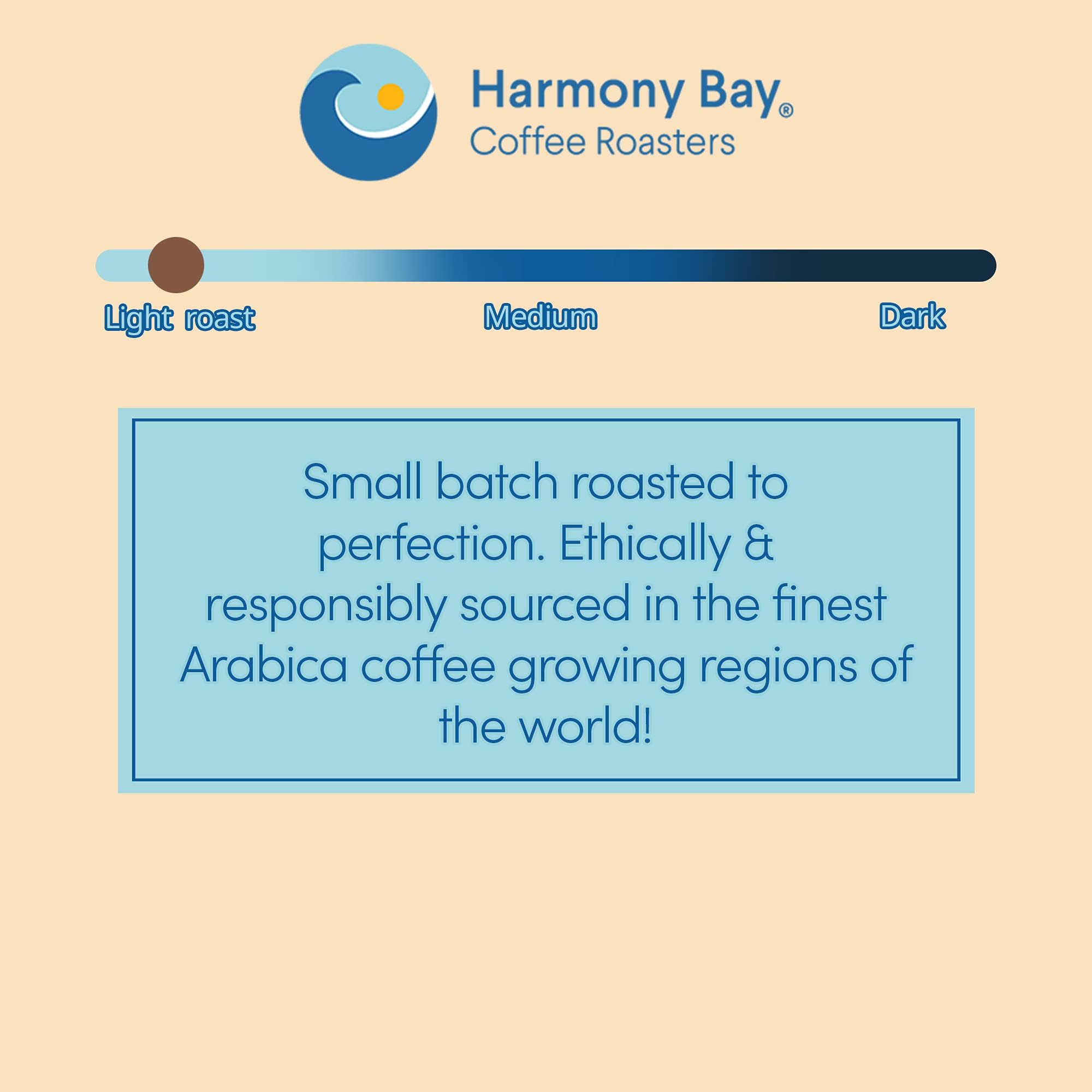 Harmony Bay Decaf Hazelnut Flavored Coffee - 100% Arabica Gourmet Ground Decaffeinated Coffee - Light Roast - Small Batch Roasted - Aromatic Nutty Flavored Coffee - 12 oz Can (Pack of 6)