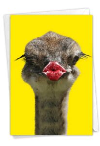 nobleworks wild kisses - ostrich - get well greeting card with envelope (4.63 x 6.75 inch) - c9280ggwg