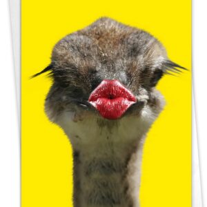 NobleWorks Wild Kisses - Ostrich - Get Well Greeting Card with Envelope (4.63 x 6.75 Inch) - C9280GGWG