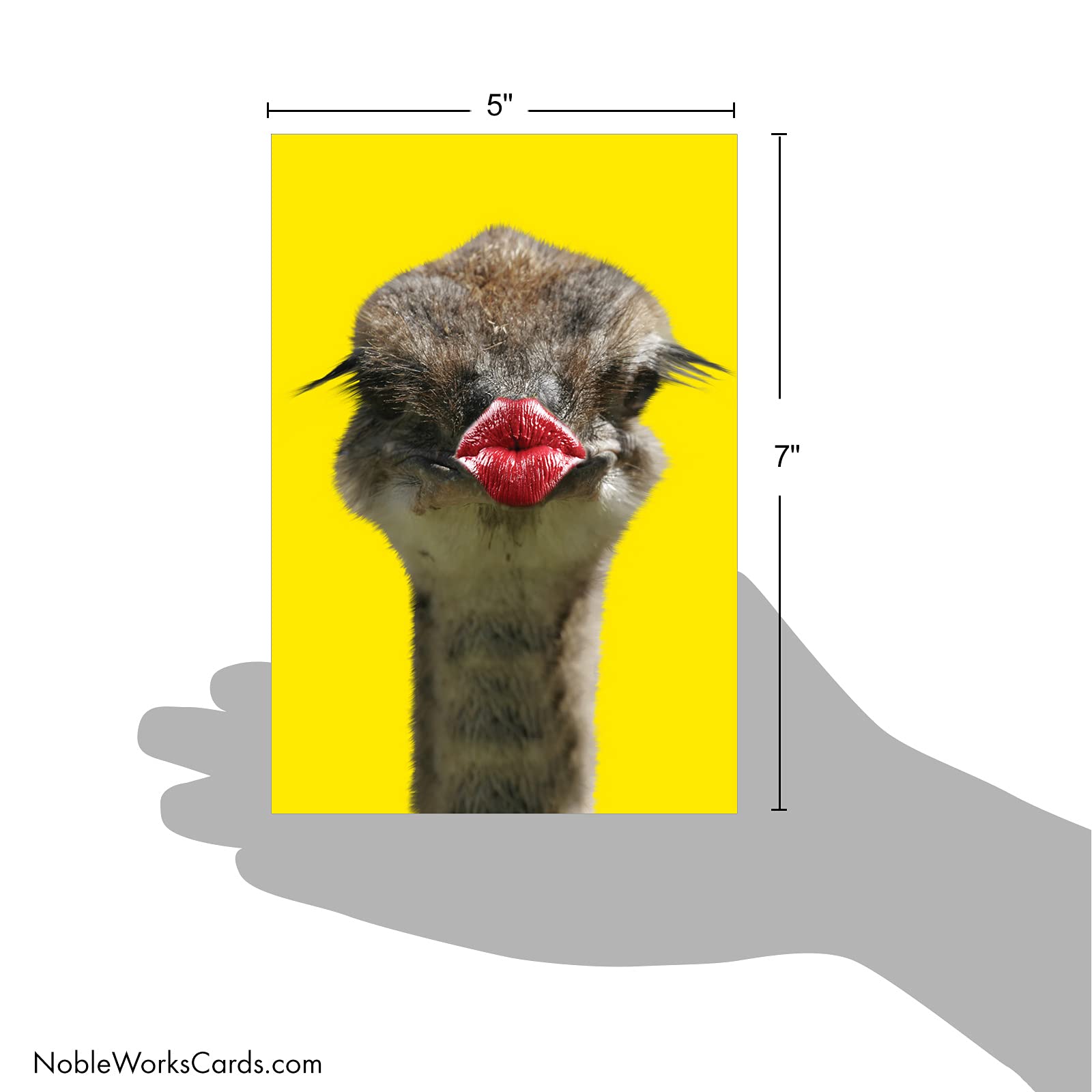 NobleWorks Wild Kisses - Ostrich - Get Well Greeting Card with Envelope (4.63 x 6.75 Inch) - C9280GGWG