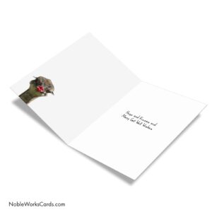 NobleWorks Wild Kisses - Ostrich - Get Well Greeting Card with Envelope (4.63 x 6.75 Inch) - C9280GGWG