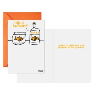 Hallmark Shoebox Pack of 2 Funny Birthday Cards (Toast and Goldfish)