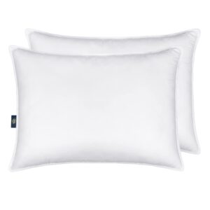 Serta Down Illusion Soft Hypoallergenic Medium/Firm Bed Pillows for Side, Stomach or Back Sleepers (2 Pack), King, White