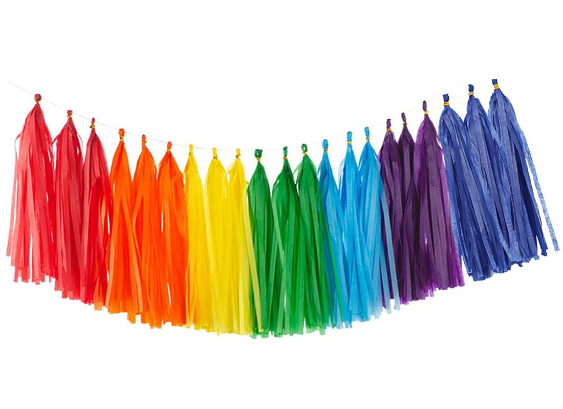 35Pcs Rainbow Tassel Garland Tissue Paper Tassel Banner Decoration for Wedding, Baby Shower,Birthday, Group Activities and Games