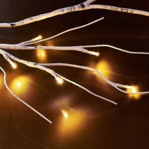 Birchlitland Birch Garland Lights 6FT 48 LED Battery Operated - Lighted Twig Vine with Timer for Christmas Fireplace Decoration Indoor Outdoor Use