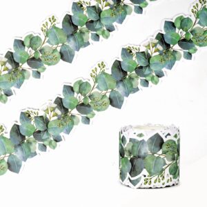 49ft eucalyptus die-cut border trim bulletin board classroom border trim eucalyptus themed border sticker for photo wall bulletin boards desks display home and school decorations green