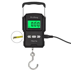 YYGJ, Rechargeable Lugagge Scale Portable Electronic Hook Scale Digital Hanging Bag Luggage Weight Scale Fishing Scale with Measuring Tape 165Lb Black