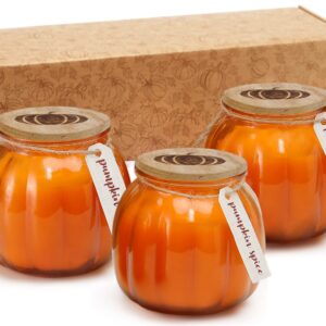 Fall Pumpkin Shaped Candle, Thanksgiving Pumpkin Spice Scented Candle Fall Decoration Farmhouse Candle Gift Set 3 x 5oz