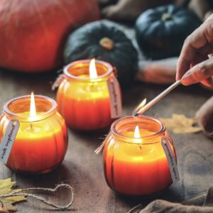 Fall Pumpkin Shaped Candle, Thanksgiving Pumpkin Spice Scented Candle Fall Decoration Farmhouse Candle Gift Set 3 x 5oz