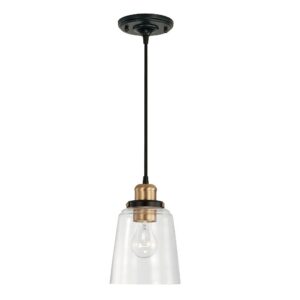 Capital Lighting 3718AB-135 Fallon Urban/Industrial Clear Glass Pendant Light Fixture, 1-Light 100 Watt, 9" H x 6" W, Aged Brass and Black