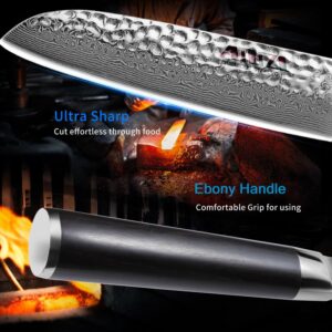 AMSZL 7 Inch Chef Knife, Damascus VG10 Super Steel, Ultra Sharp Santoku Kitchen Knife, Ebony Handle, Gift Box