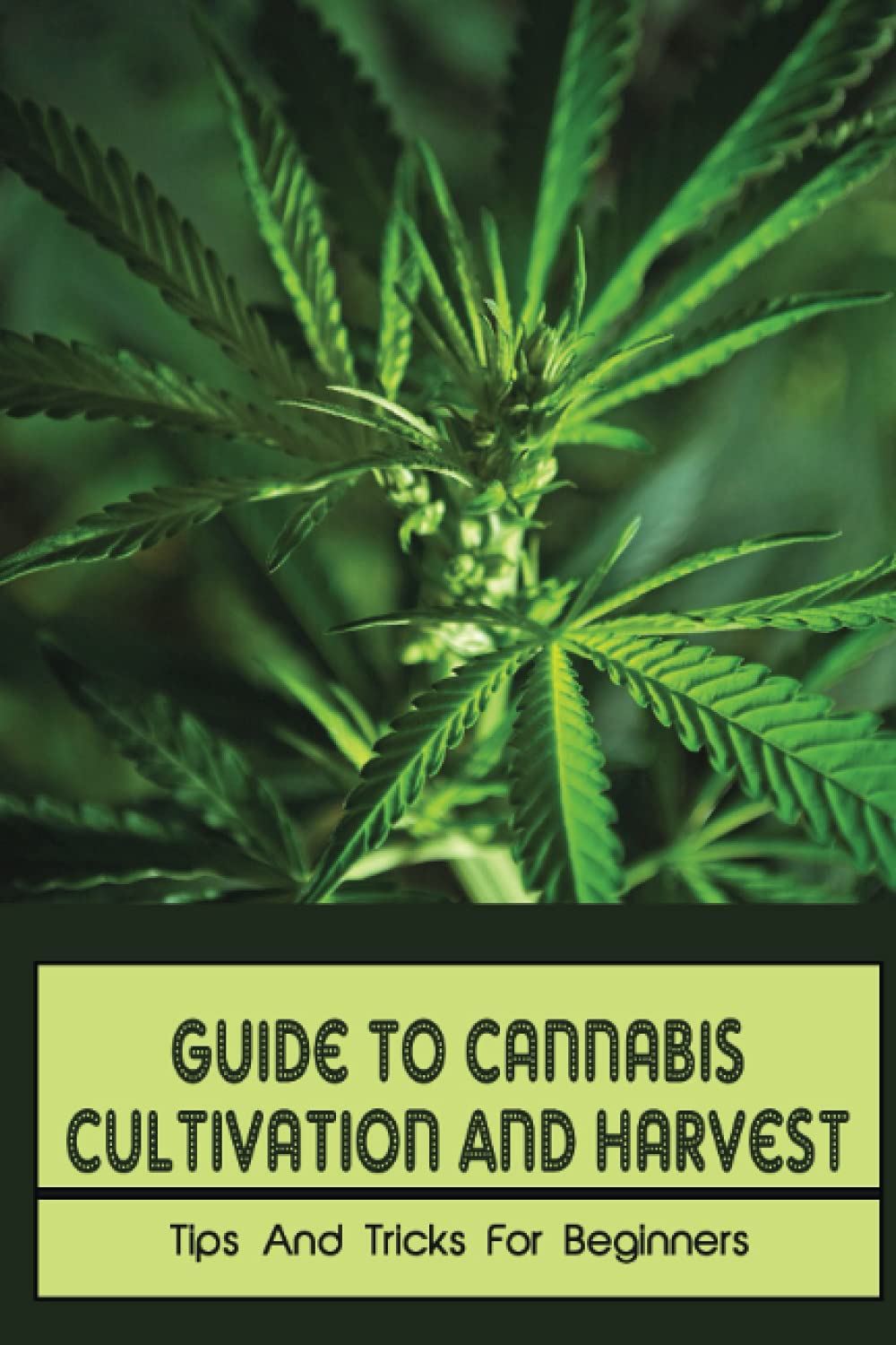 Guide To Cannabis Cultivation And Harvest: Tips And Tricks For Beginners: Save Money On Marijuana