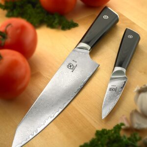 Mercer Culinary Premium Grade Super Steel 8-Inch Chef and 3.5-Inch Paring Knife Set, G10 Handles