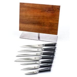 Mercer Culinary Premium Grade Super Steel 8-Piece Knife Set with Magnetic Stand, G10 Handles