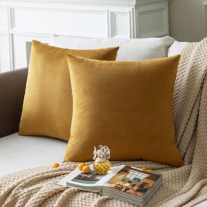 colormz set of 2 golden brown colored solid velvet throw pillow covers, cozy soft accent pillow cases for sofa couch bed and living room - 18"x18"