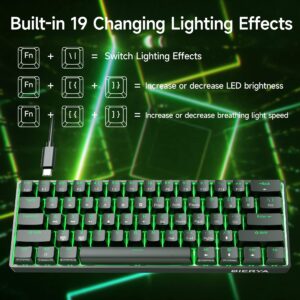 DIERYA DK61SE 60% Mechanical Gaming Keyboard, 61 Keys Anti-Ghosting, LED Backlight, Detachable USB-C, Ultra-Compact Mini Wired Keyboard with Quiet Red Linear Switch for Windows Laptop PC Gamer Typist