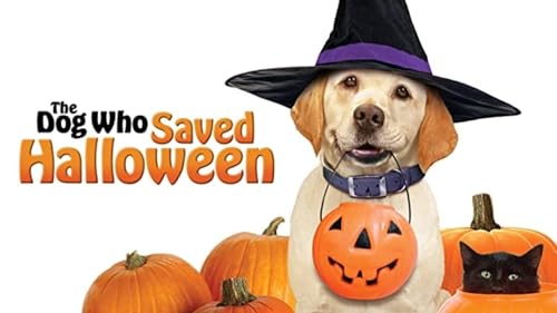 The Dog Who Saved Halloween