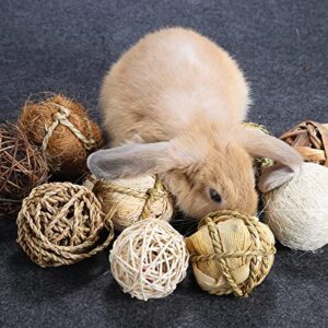 DAMPET Small Animals Play Balls, Chew Grass Balls & Rolling Chew Toys for Bunny, Improve Pets Dental Health for Rabbit, Chinchilla, Guinea Pigs, Hamsters, Gerbils, Rats, Mice （9 Pieces）