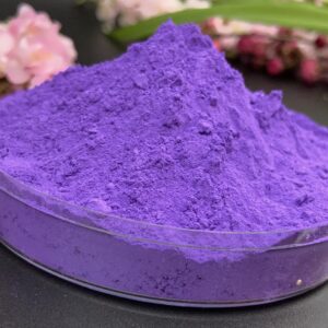 GOODTAKE Purple Iron Oxide, Concrete Pigments for Artistic and Decorative Painting, Cement Dye for Concrete, Clay, Lime, Tile, Mortar, Grout, Plaster, Masonry, Paint (Purple, 20 oz)