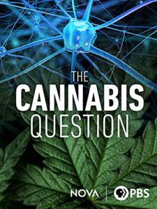 the cannabis question