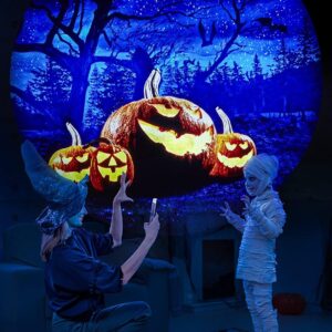 LaView Halloween & Thanksgiving Disc Set Galaxy Projector Suitable for Thanksgiving Gift for Family and Friends,Night Light for Kids Adults Baby Nursery and Bedroom Decoration