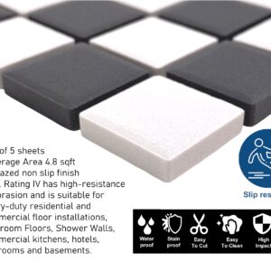 TDPW-UGBW1X1-400 Black Greyish Charcoal & White Checkered Unglazed Porcelain 7/8 Inch Square Mosaic Tile for Bathroom Floors, Walls, Kitchen Backsplash and Pool (Not Peel and Stick) - Box of 5 Sheets