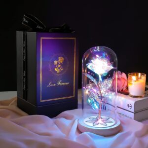 Beferr Gifts for Women Birthday Gifts Galaxy Rose Eternal Rainbow Flower Gifts Light Up Rose in Glass Dome Mothers Day Mom Rose Gifts for Grandma Daughter Wife Sister Friends