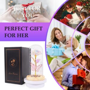 Beferr Gifts for Women Birthday Gifts Galaxy Rose Eternal Rainbow Flower Gifts Light Up Rose in Glass Dome Mothers Day Mom Rose Gifts for Grandma Daughter Wife Sister Friends