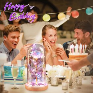 Beferr Gifts for Women Birthday Gifts Galaxy Rose Eternal Rainbow Flower Gifts Light Up Rose in Glass Dome Mothers Day Mom Rose Gifts for Grandma Daughter Wife Sister Friends