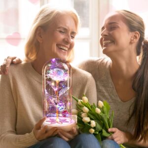 Beferr Gifts for Women Birthday Gifts Galaxy Rose Eternal Rainbow Flower Gifts Light Up Rose in Glass Dome Mothers Day Mom Rose Gifts for Grandma Daughter Wife Sister Friends