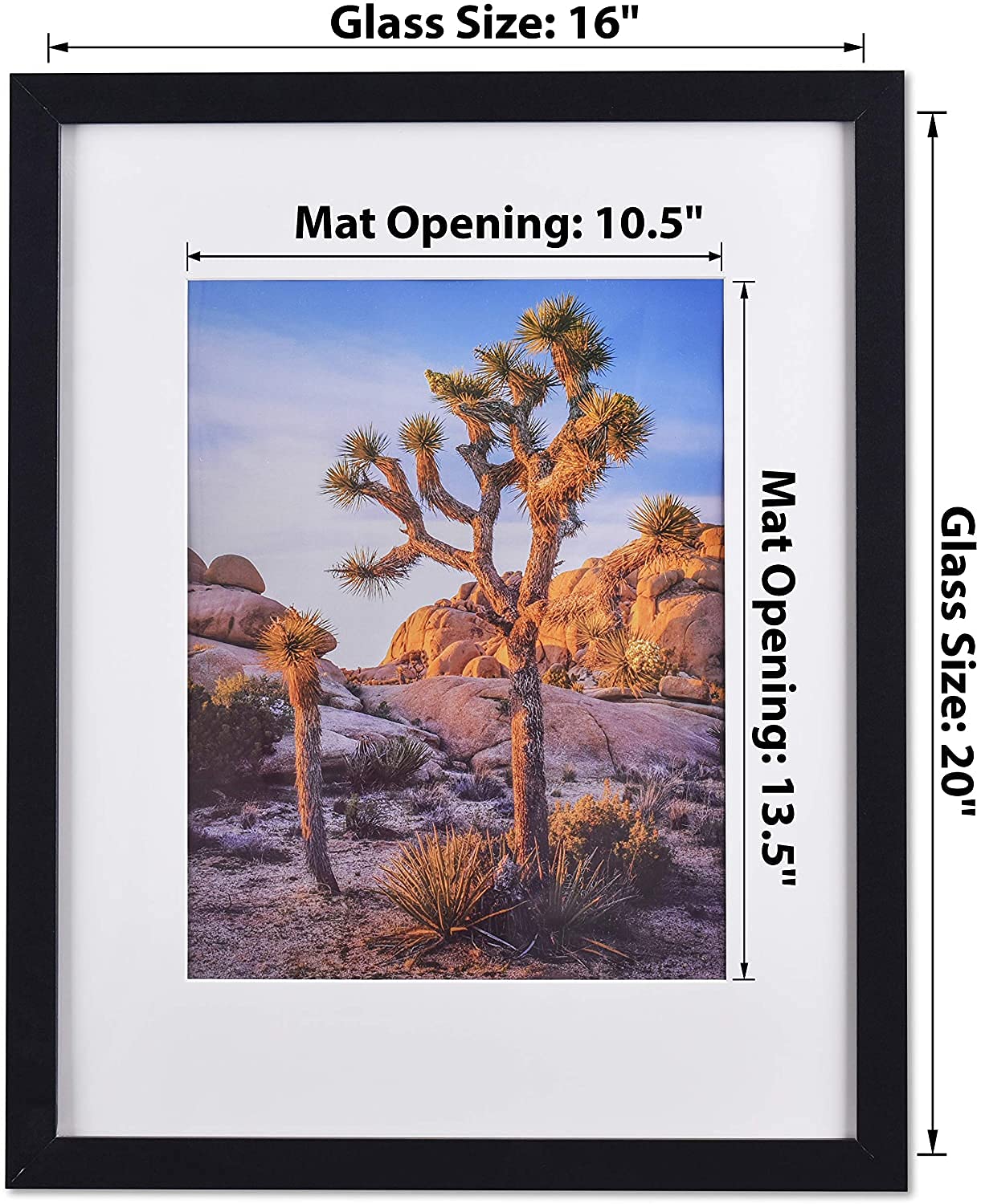 A PLUS MAX Black 16x20 Picture Frame, Display Pictures 11x14 with Mat or 16x20 Without Mat, Wall Gallery Poster Frames.