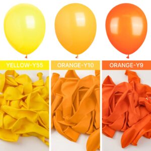 PartyWoo Orange Balloons, 100 pcs Goldenrod Balloons Different Sizes Pack of 18 Inch 12 Inch 10 Inch 5 Inch Orangey Yellow Balloons for Balloon Garland Balloon Arch as Party Decorations, Orange-Y10