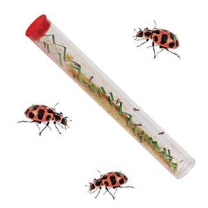 Insect Lore Live Ladybug Growing Kit Toy, Observation Skills