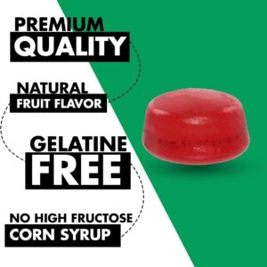 Happy Healthy Wellness Vegan Gummies Gelatine & Gluten Free Strawberry Flavor (30 Count) Made in USA for Adults