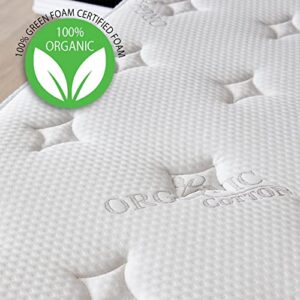 Full Size Mattress - 12 Inch Cool Memory Foam & Spring Hybrid Mattress with Breathable Cover - Motion Isolation - Comfort Plush Euro Pillow Top - Green Foam Certified - Oliver & Smith