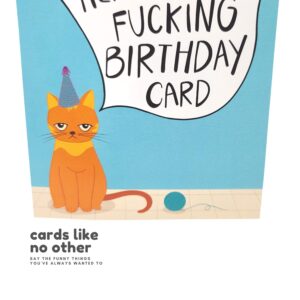 Sleazy Greetings Funny Birthday Card For Him Her | Rude Funny Cat Birthday Card For Men Women | Dirty Cat Bday Card For Wife Husband Boyfriend Girlfriend | Birthday Money's Tight Times Are Hard Card