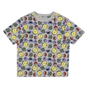 sesame street boys toddler shirt elmo cookie monster big bird toddler boys allover shirt (heather, 4t)