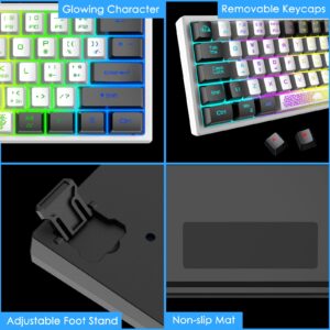 ZIYOU LANG K61 60% Wired Gaming Keyboard RGB Backlit Membrane Keyboard Mechanical Feel Ultra-Compact Mini Waterproof Keyboard for PC Computer Gamer (White Black)