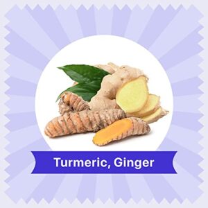 BLUE TEA - Turmeric Ginger Tea - 15 Tea Bags | PRIME SAVING DAY | AYURVEDIC BLEND | Detox Tea - Immunity Booster - Caffeine-free - Vegan - Non-GMO - Gluten Free - Natural Ingredients | Tin Pack