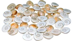 sai mart natural gomti 11piece river stone gomati chakra for lakshmi/laxmi puja pooja peace,prosperity,energized and wealt,success