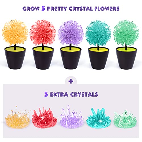 Crystal Growing Kit, STEM Projects Science Kits for Kids Age 8-12, Girls Toys 8-10 Years Old, Crafts Gift Toys for 6 7 8 9 10 11 12 years old Girls & Boys