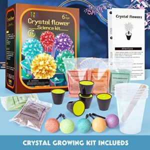 Crystal Growing Kit, STEM Projects Science Kits for Kids Age 8-12, Girls Toys 8-10 Years Old, Crafts Gift Toys for 6 7 8 9 10 11 12 years old Girls & Boys