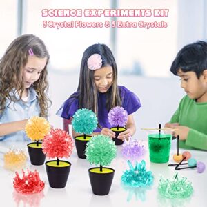 Crystal Growing Kit, STEM Projects Science Kits for Kids Age 8-12, Girls Toys 8-10 Years Old, Crafts Gift Toys for 6 7 8 9 10 11 12 years old Girls & Boys