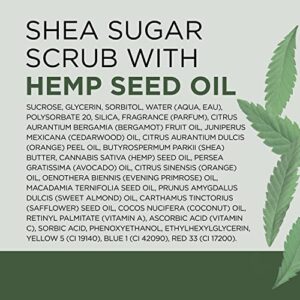 Dr Teal's Shea Sugar Body Scrub, Cannabis Sativa Hemp Seed Oil with Essential Oils, 19 oz (Pack of 3) (Packaging May Vary)