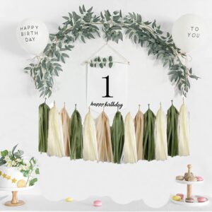 15 Pcs DIY Olive Green Tan Brown Nude Cream Tissue Paper Tassel Garland Party Banner for Eucalyptus Greenery Baby Shower Woodland Jungle Tropical Nature Theme Birthday Wedding Party Decoration