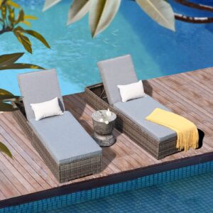 Patiorama Outdoor Patio Chaise Lounge Chair, Elegant Reclining Adjustable Pool Rattan Chaise Lounge Chair with Light Grey Cushion, Grey PE Wicker, Steel Frame, Set of 2