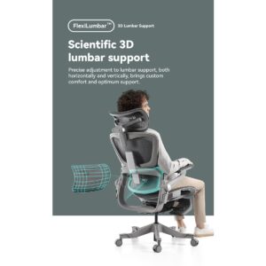 HINOMI H1 Pro 3D Lumbar Support Ergonomic Office/Gaming Chair - 5D Armrests Leg Rest Included Hybrid Mesh Relieve Back Pain, Foldable, Work from Home Office with Adjustable Headrest