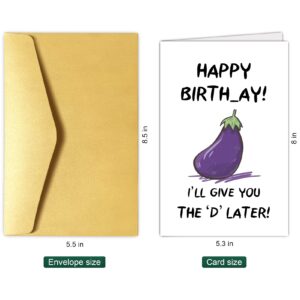 Chenive Happy Birthday Card for Wife Girlfriend, Naughty Birthday Greeting Card for Her, Funny Rude Bday Card, I’ll Give You The D Later