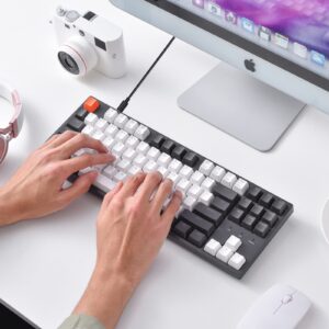 Keychron C1 87 Key Hot-swappable Wired Mechanical Keyboard, USB Type-C Cable, Double-Shot ABS Keycaps TKL Mechanical Gaming Keyboard, White Backlit Gateron G Pro Brown Switch for Mac Windows