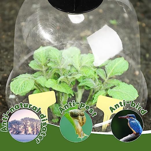 Baoz 6 Pack Garden Cloche Plant Bell Cover Humidity Dome Plant Protector Cover Plastic Mini Greenhouse with 18Pcs Metal Stakes and 10Pcs Labels for Seed Starter(10.24" H x 8.26" D)